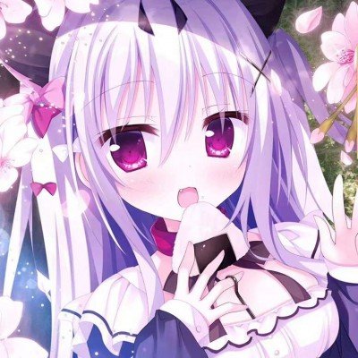 公司倒闭5只猫被法拍
